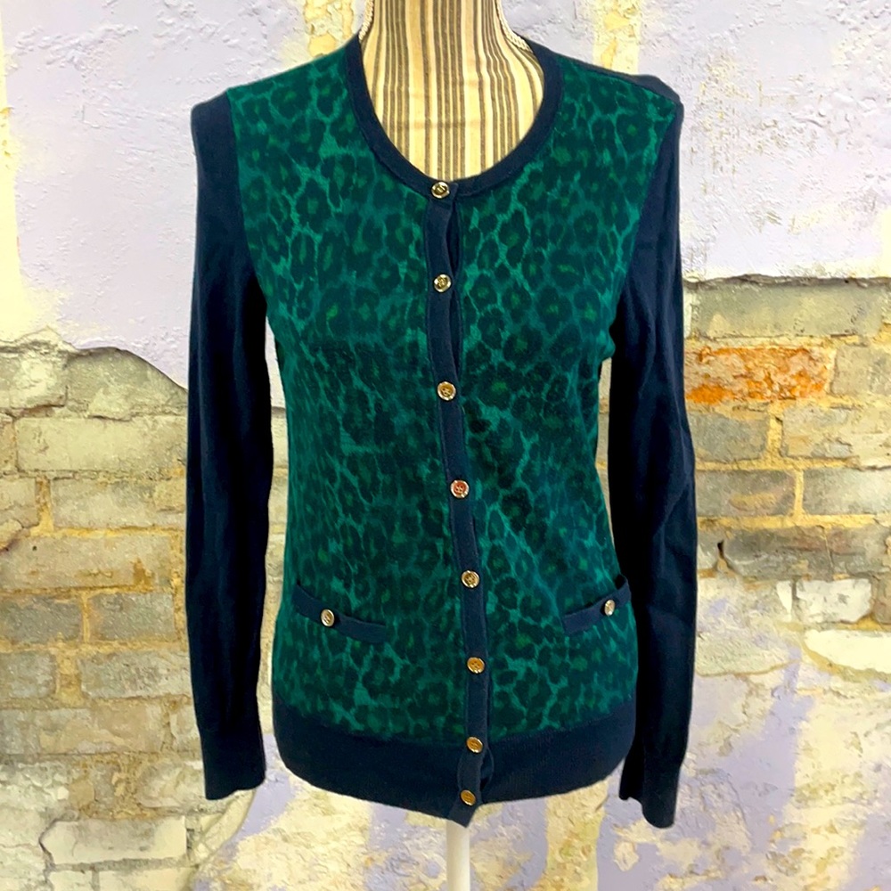 Ann Taylor sweater